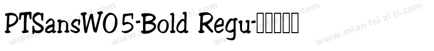 PTSansWO5-Bold Regu字体转换